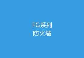 FG系列 防火墙