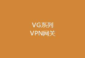 VG系列 VPN网关
