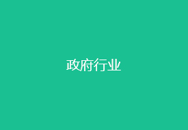 政府行业